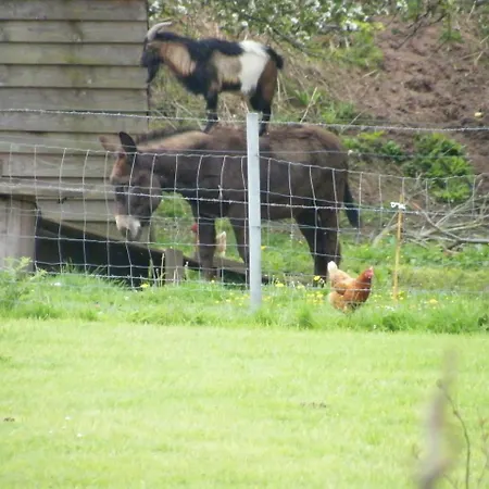 Bed & Breakfast La Ferme De Montaigu-les-Bois