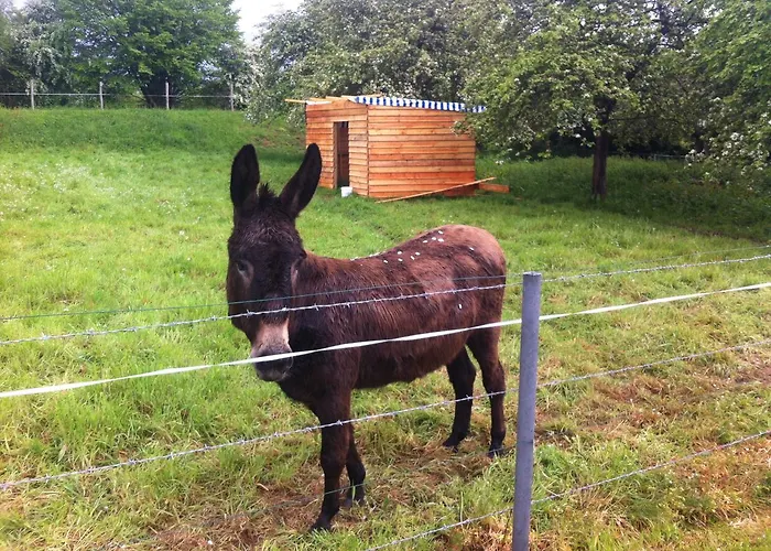 Bed & Breakfast La Ferme De 3*