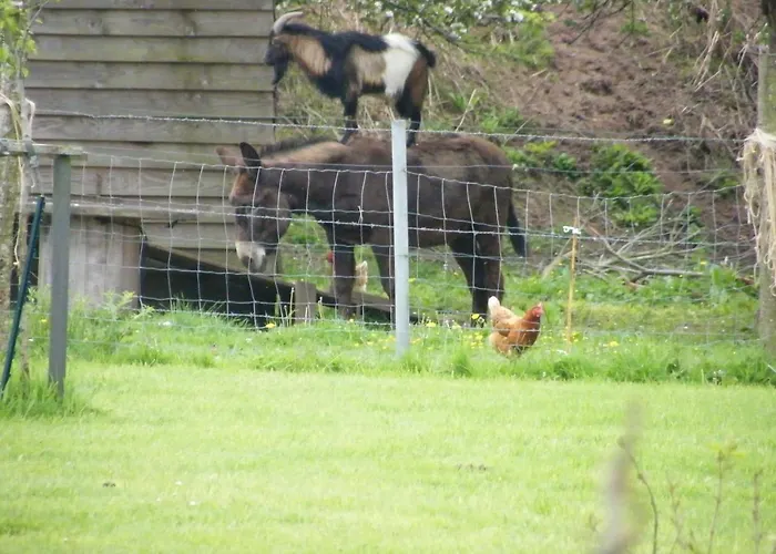 Bed & Breakfast La Ferme De Montaigu-les-Bois